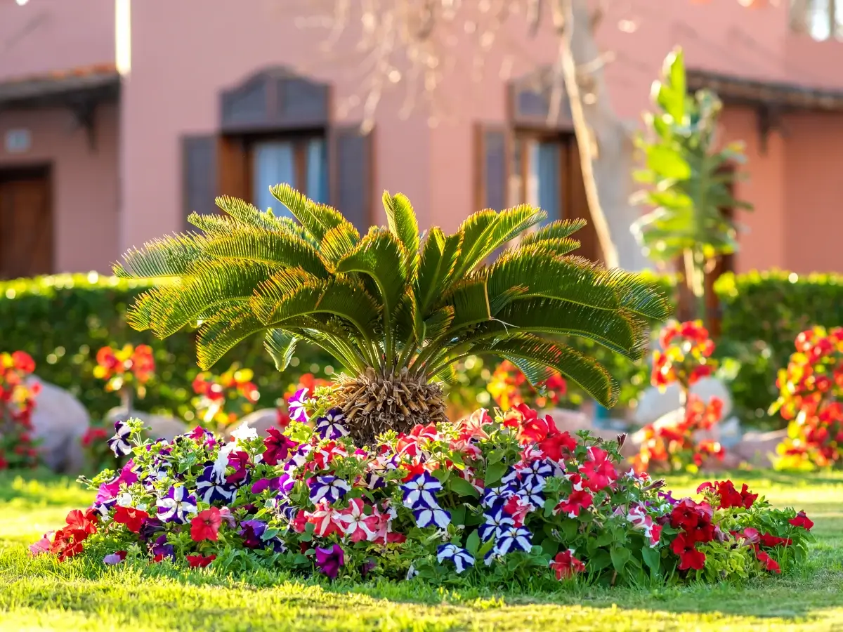 small-green-palm-tree-front-yard
